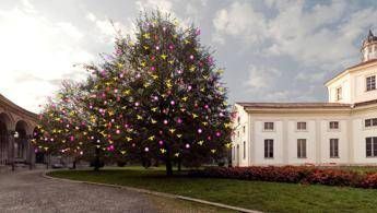 Alla Besana di Milano lo spettacolo 'Arbre Magique Pollination' per Expo in città Alla Besana di Milano lo spettacolo 'Arbre Magique Pollination' per Expo in città
